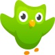 تحميل برنامج تعلم اللغات Duolingo للاندرويد