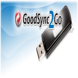 goodsyngo-icon